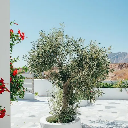Vigere Luxury * Monolithos (Santorini)