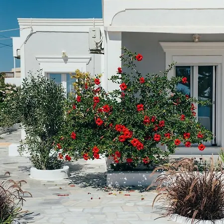 וילה Vigere Luxury