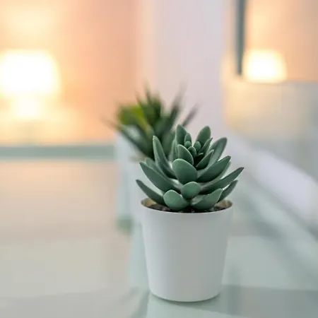 וילה Vigere Luxury *