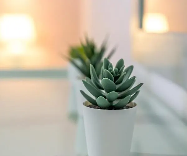 别墅 Vigere Luxury *