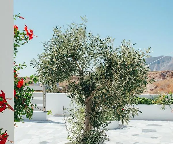 Vigere Luxury * Monolithos