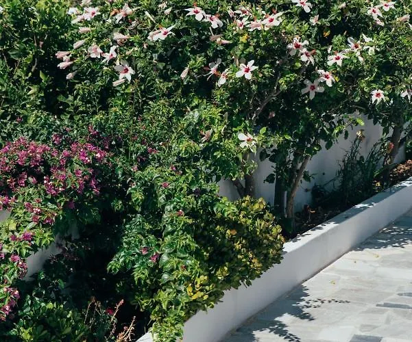 Vigere Luxury Villa *